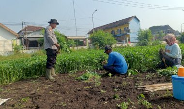 Polresta-Sidoarjo-Dorong-Pemanfaatan-Pekarangan,-Warga-Porong-Tanam-Kangkung